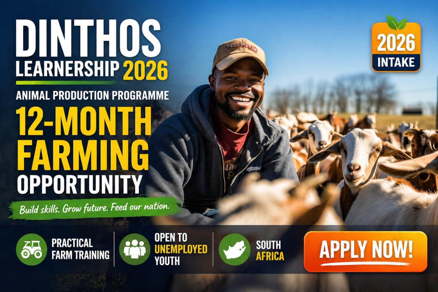 DINTHOS LEARNERSHIP 2026