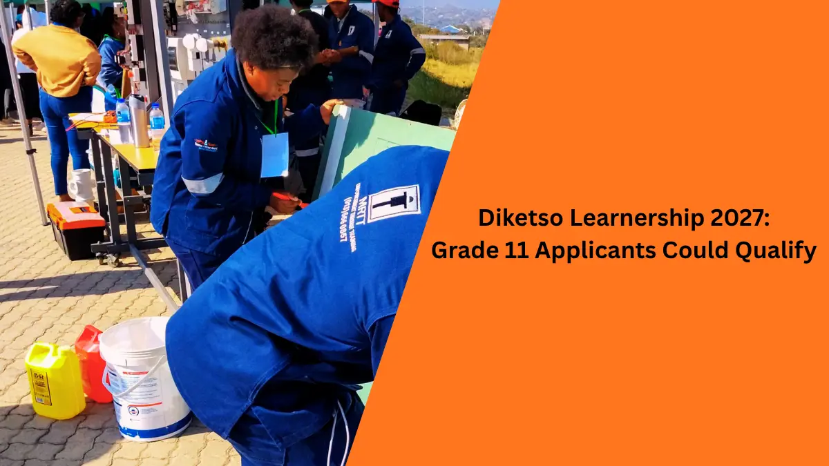 Diketso Learnership 2027